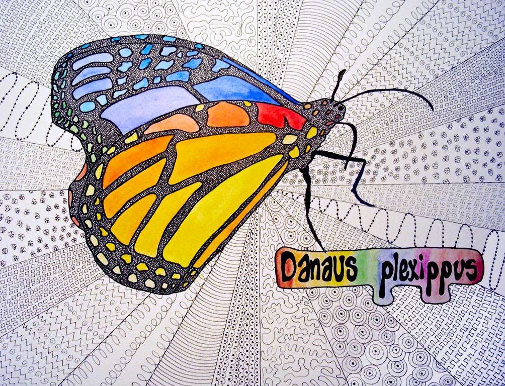 [Danaus5%255B5%255D.jpg]