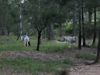 IMG_4102.JPG Photo