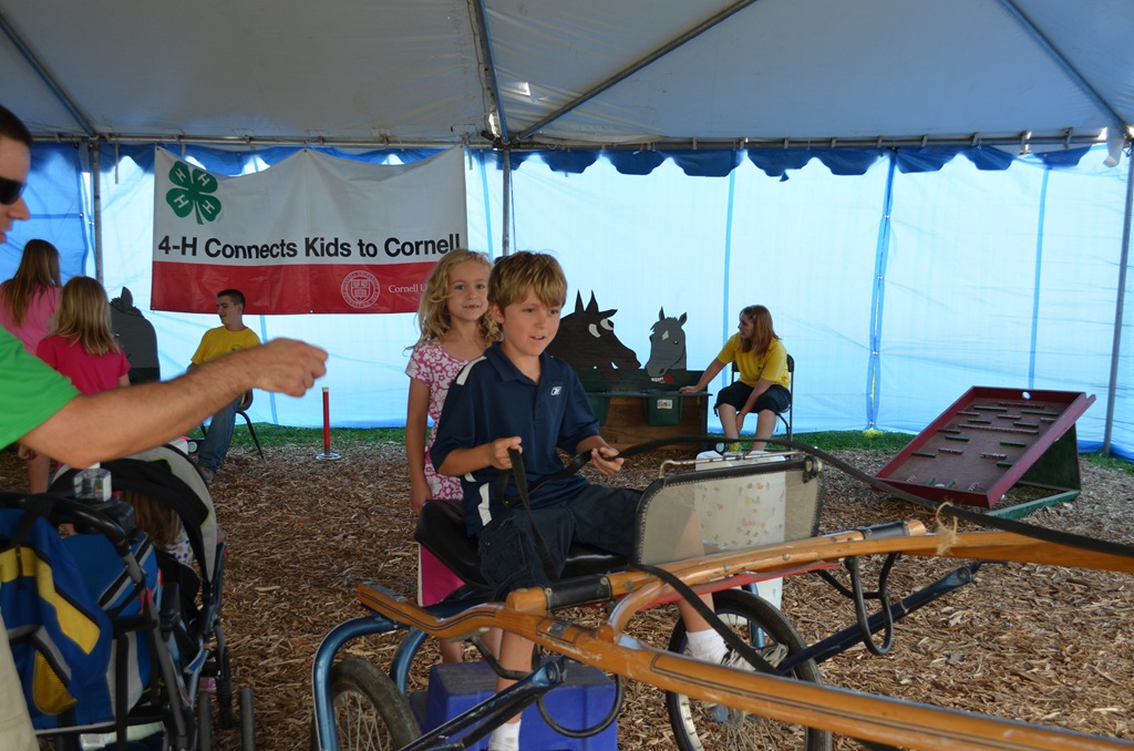 [DSC_2463%255B3%255D.jpg]