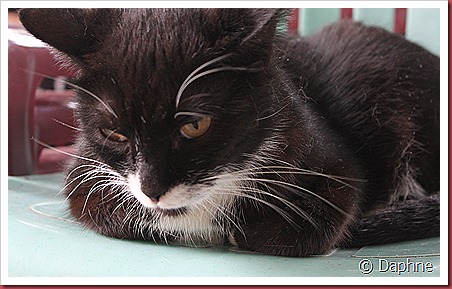 IMG_6236 IMG_6236