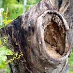 20100825_057_small.JPG