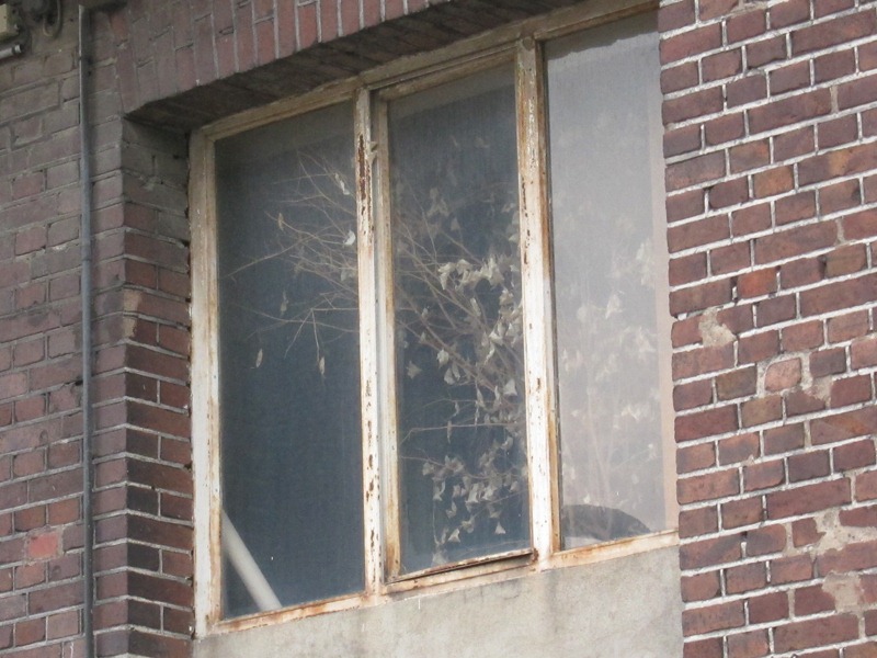 [IMG_1969%255B2%255D.jpg]
