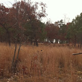 Hunting Habitat 5, Anderson Creek