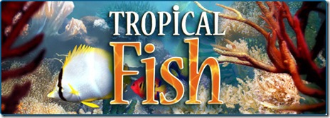 tropical_fish