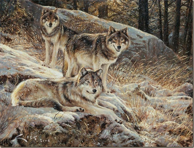 lobos