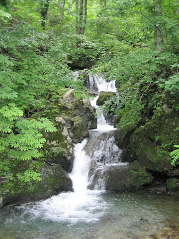 県道途中の滝