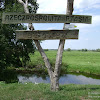 Park Narodowy "Ujście Warty": Rzeczpospolita Ptasia dsc05813.jpg