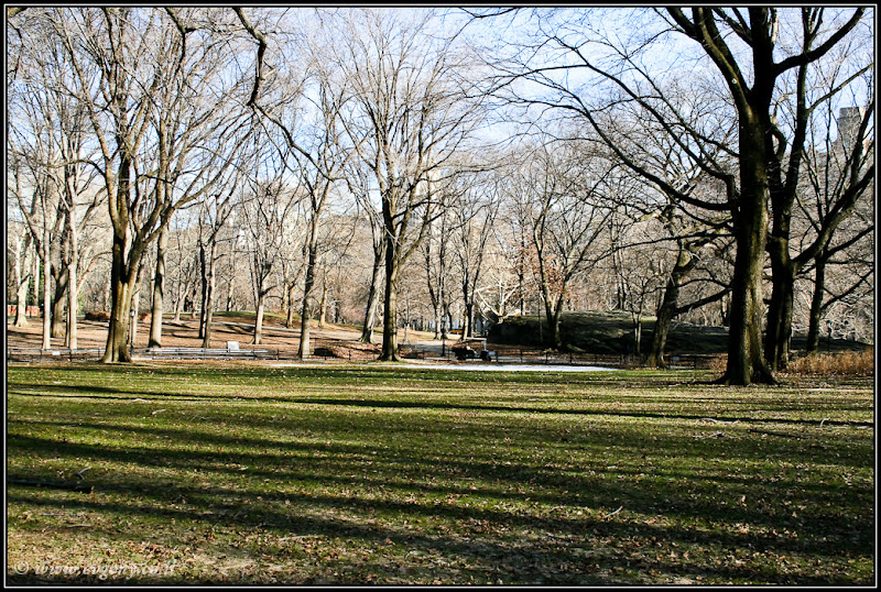 Вид на Америку: Central Park (foto america  фото путешествия new york manhattan  0401%252520USA%25252C%252520NY%25252C%252520Central%252520Park 8)