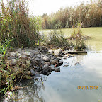IMG_8086.JPG