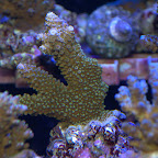 DSC_2118.jpg
