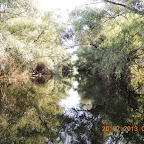 DSCN4476.JPG