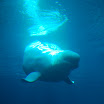 Ga & FL trip 160.JPG