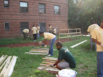 School St. Edible Museum