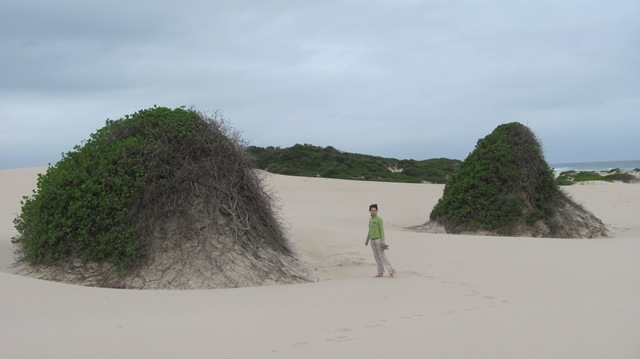 [IMG_53743.jpg]