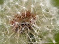 You've got to admit that nature provides the most beautiful artwork...