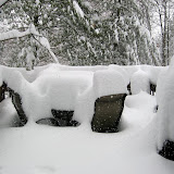Blizzard! (2010)