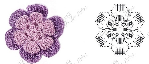 [motivo%25203%255B4%255D.jpg]