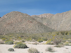 Anza 542.jpg