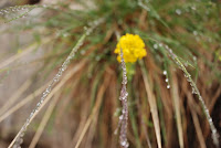 DSC_5766.JPG Photo