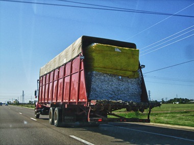 cottontruck