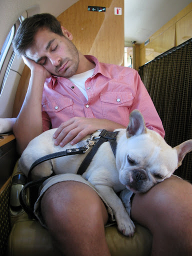 Of course, Sharkey can hardly wait to take a snooze.  This time she found a comfy spot on Thomas's lap.  Thomas is from the TV kitchen, so I guess there will be great food in Maine.