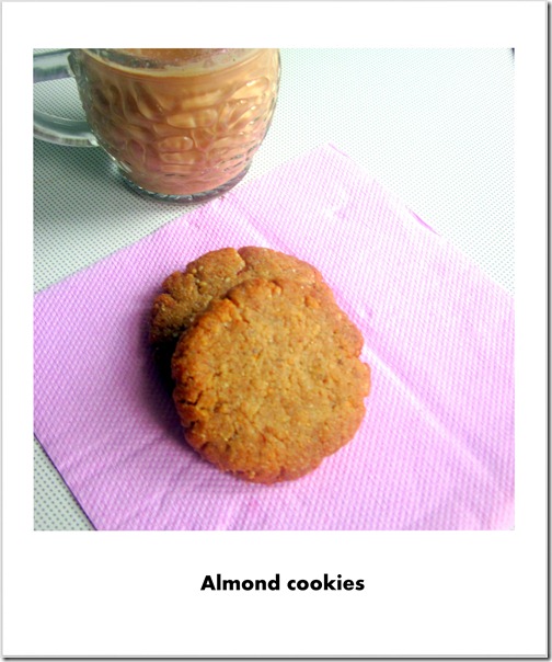 almond cookies almond cookies