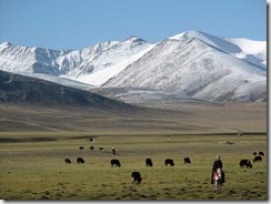 Tibet3 Tibet3