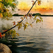 DSC05256txsh1.jpg