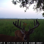PICT0108.JPG
