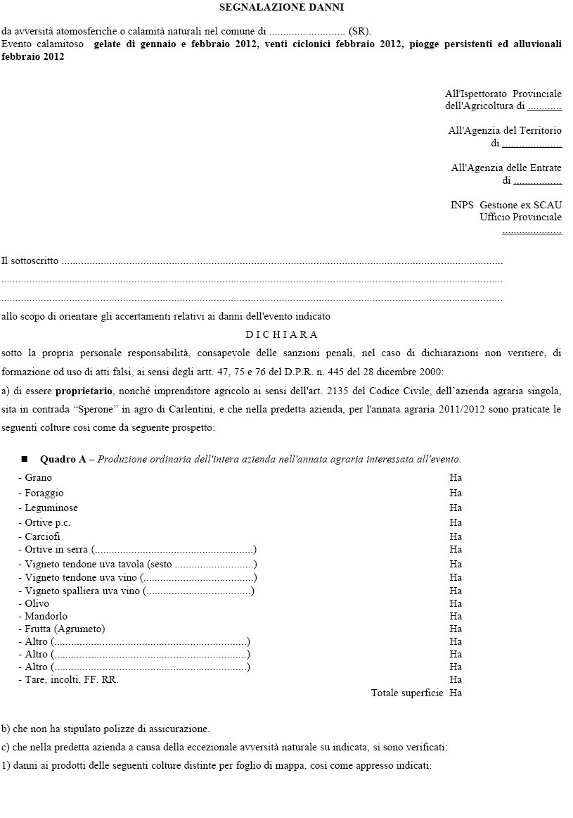 [assessorato%25201%255B2%255D.jpg]