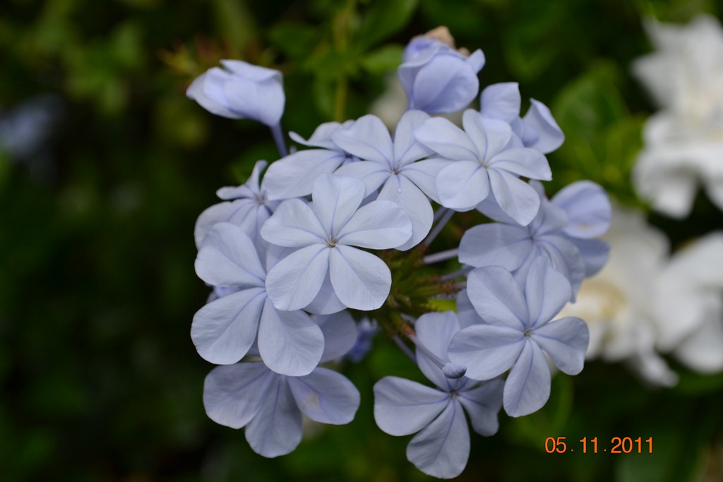 [DSC_0575%255B4%255D.jpg]