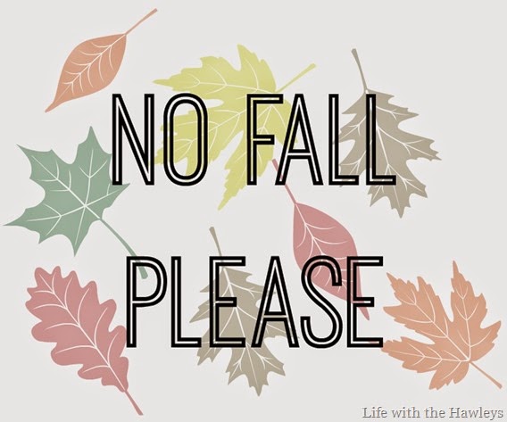 No Fall Please No Fall Please