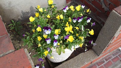 2014-07-01 08.26.33.jpg