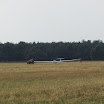 Zweefvliegen 046.JPG