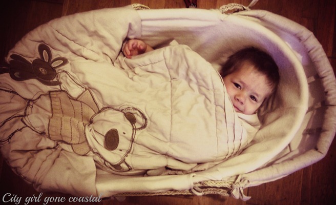 ethan in a basket