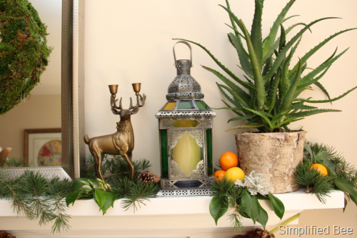 [exotic_christmas_mantle_decor%255B6%255D.png]