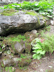 As you may have gathered by now, the rocks are a vital part of Innisfree, and of Chinese garden design in general. They anchor plantings and create a little world of their own.