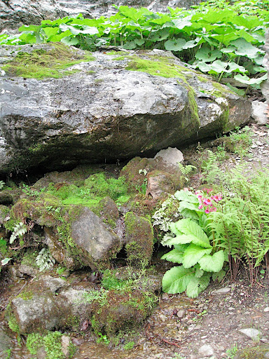 As you may have gathered by now, the rocks are a vital part of Innisfree, and of Chinese garden design in general. They anchor plantings and create a little world of their own.