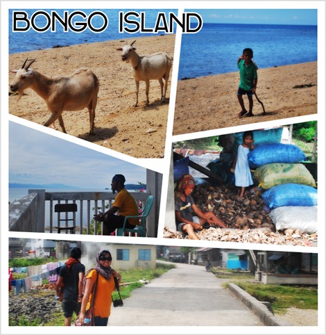 bongo bongo