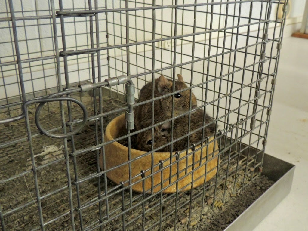 [DSCN9381%255B3%255D.jpg]