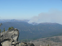 Forest Fire in the wilderness Photo