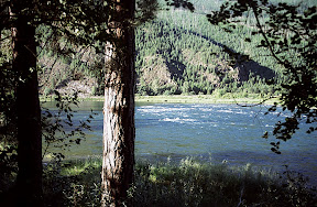Forest Stewardship - Here's another view of the old Jennings, Montana townsite, which was located just across the river. In the early 1900s, steam-powered stern-wheelers navigated the river below Jennings rapids. If you look closely at this photograph, you can see the ghostly remains of the early 1980s fire that swept over the mountain in the background. Western larch and lodgepole - most over 20 feet tall - now blanket everything but the rock outcroppings.