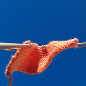 IMG_20120728_142710