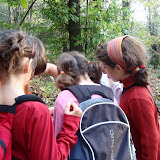 PA250012.JPG