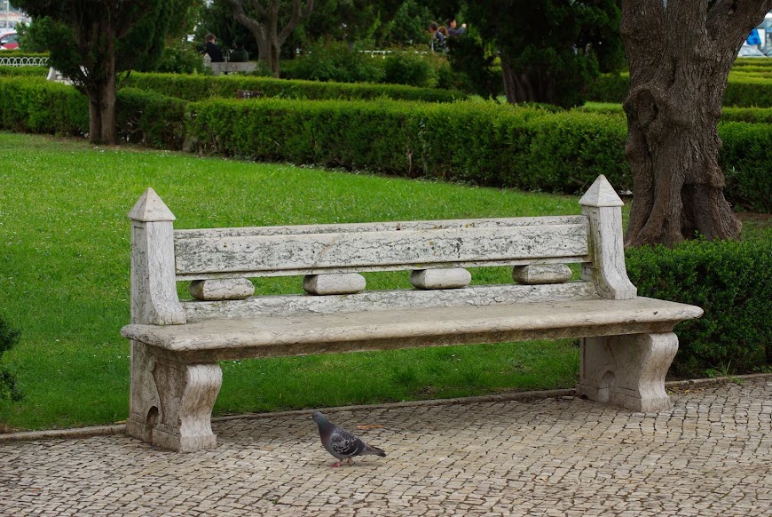 IMGP1406.JPG