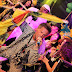 Carnaval Estocolmo 2014. Foto: Fabian Diaz Perez