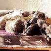 famille heureuse...