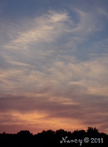 DSC02159