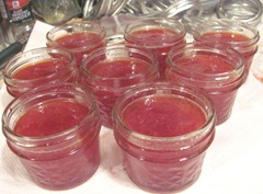 7.25.12  eight 4oz jars strawberry jam