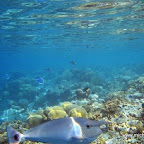 l037.jpg